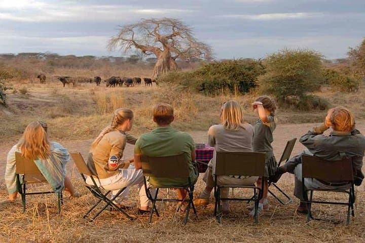 2-Day Mikumi National Park Safari: Wildlife Drives from Iringa photo 2