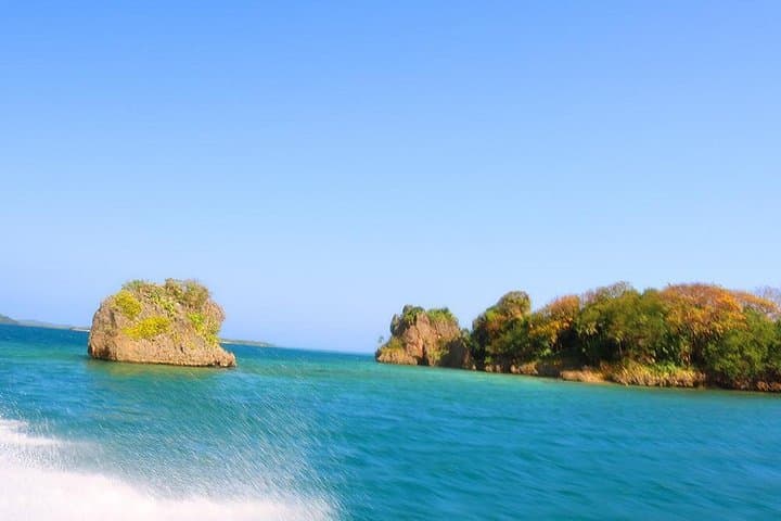 Half-Island Cruise and Snorkel to Pigeon Cay, Roatán photo 5