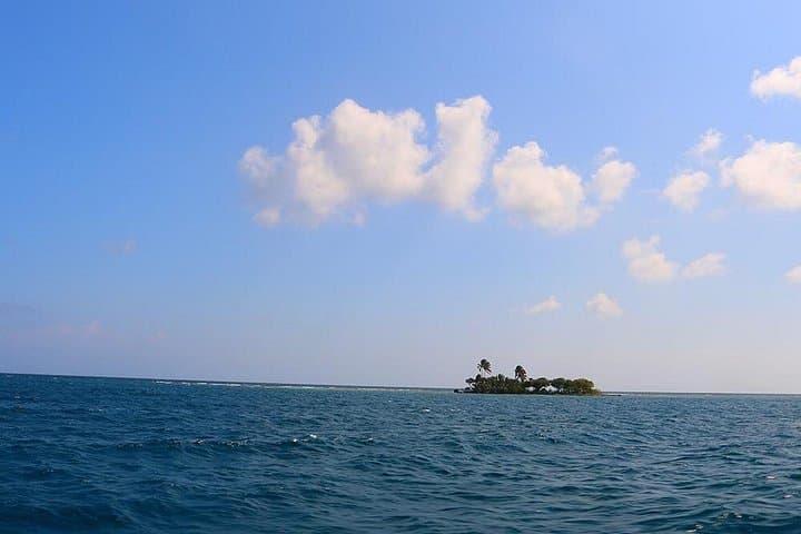 Half-Island Cruise and Snorkel to Pigeon Cay, Roatán photo 6