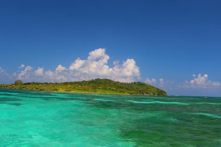 Day Cruise from Oak Ridge to Pigeon Cay — Snorkel Roatán's Turquoise Reefs photo 4