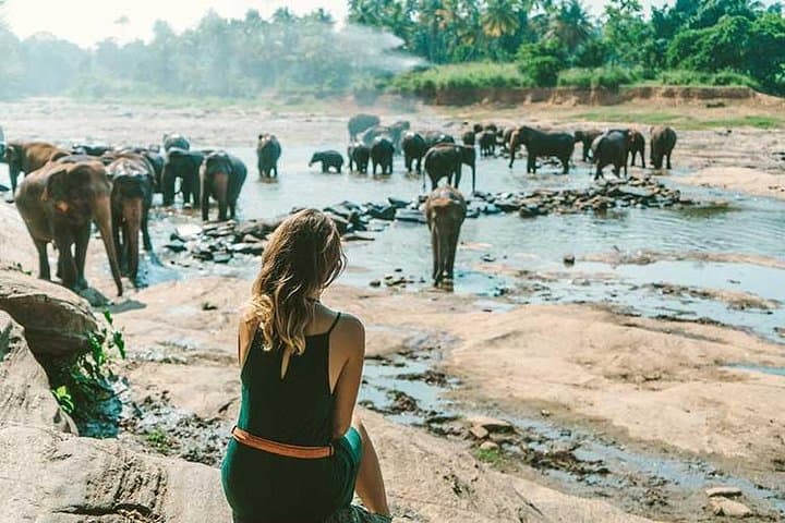 Kandy & Nuwara Eliya: 2-Day Tea Country Tour from Colombo photo 3