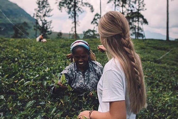 Kandy & Nuwara Eliya: 2-Day Tea Country Tour from Colombo