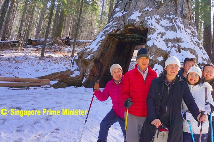 Private 1-Day Yosemite Tour from San Francisco: El Capitan, Half Dome & Yosemite Falls photo 5