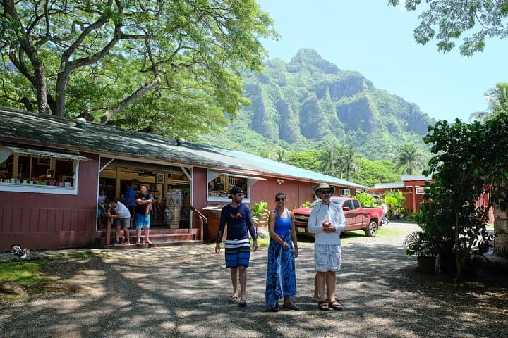 Oahu Circle Island Tour: Waimea Waterfall, North Shore & Coastal Lookouts photo 6