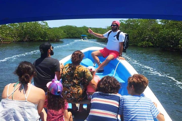 Day Cruise from Oak Ridge to Pigeon Cay — Snorkel Roatán's Turquoise Reefs