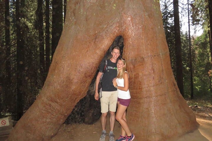 Private 2-Day Yosemite Tour: Glacier Point, Mariposa Grove & Valley Highlights photo 6
