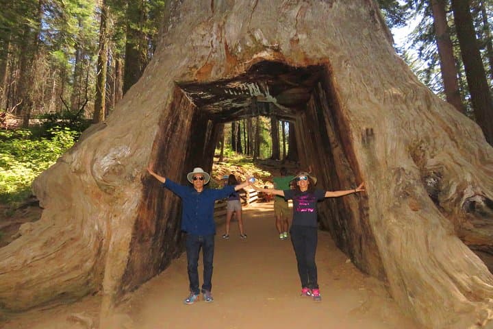 2-Day Private Yosemite Tour — Glacier Point, Giant Sequoias & Valley Waterfalls photo 6