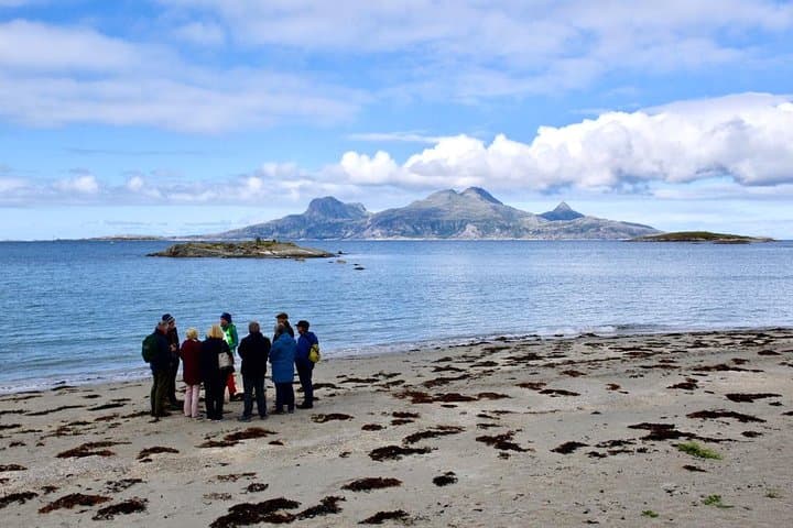 Arctic Coastal Walk near Bodø — Guided Friluftsliv on Norwegian Beaches photo 2