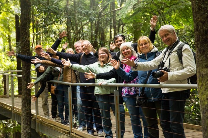 Blue Mountains Scenic World Day Trip from Sydney — Scenic Railway, Koalas & Ferry Return photo 3