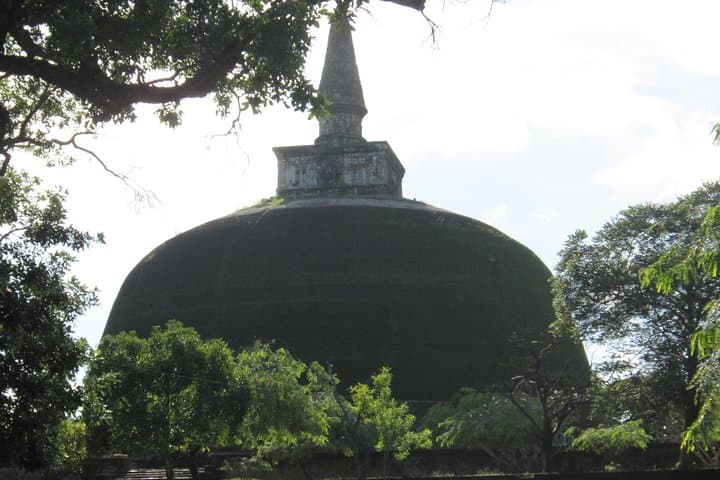 Sri Lanka Week in Paradise: 7-Day Cultural & Wildlife Tour from Colombo photo 3