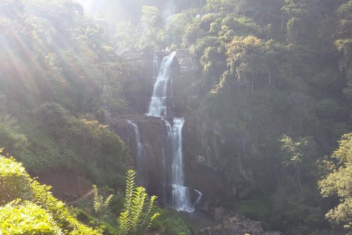Sri Lanka Week in Paradise: 7-Day Cultural & Wildlife Tour from Colombo photo 5