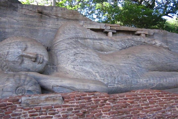 Sri Lanka Week in Paradise: 7-Day Cultural & Wildlife Tour from Colombo photo 6