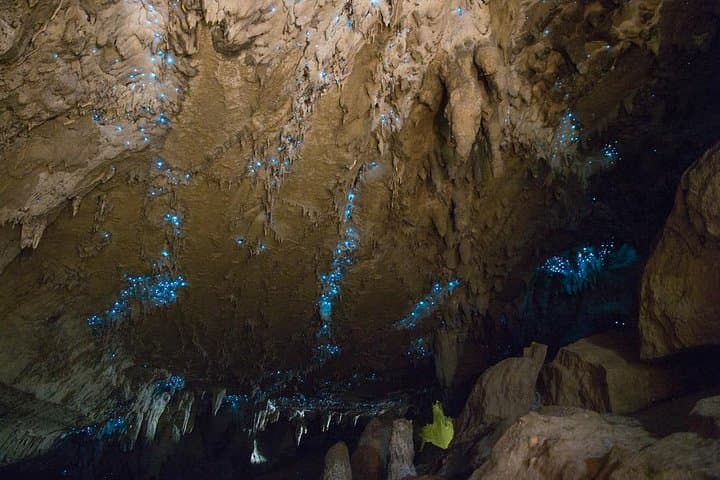 Kawiti Glow Worm Cave Tour & Opua Forest Walk — Bay of Islands Māori-Guided Cave Experience photo 2