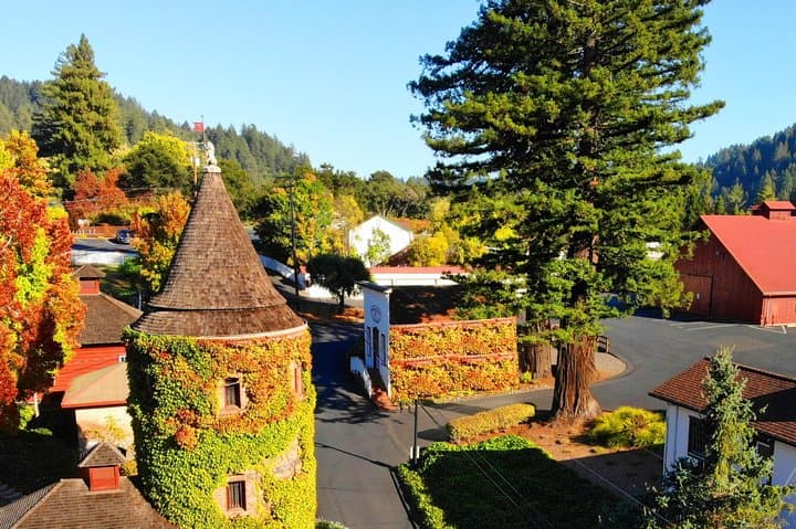 Private Russian River Valley & Giant Redwoods Tour: Wineries, Caves, and Ancient Groves
