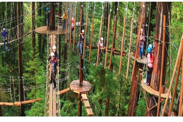 Private Russian River Valley & Giant Redwoods Tour: Wineries, Caves, and Ancient Groves photo 2