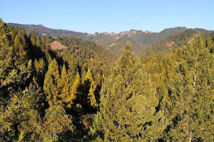 Private Russian River Valley & Giant Redwoods Tour: Wineries, Caves, and Ancient Groves photo 6