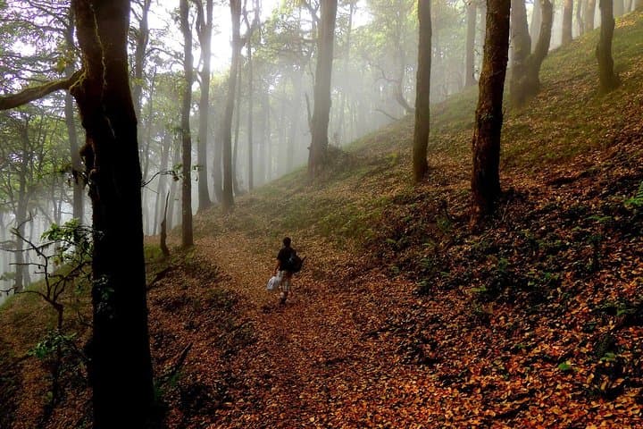 Nag Tibba Trek from Dehradun: Beginner-Friendly 2-Day Himalayan Ridge Hike