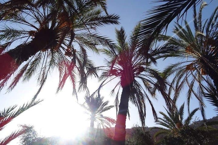 valley-of-paradise-agadir-hiking-swimming-argan-farm-berber-village photo 2