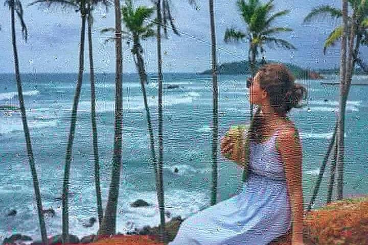 Beaches and Hill Country: 8-Day Sri Lanka Coastal to Highlands Tour