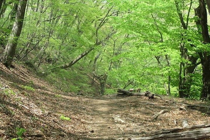 Karuizawa Suigaki Pass Hike: Mikarudai Viewpoint, Kumano Shrine & Ginza Promenade photo 4