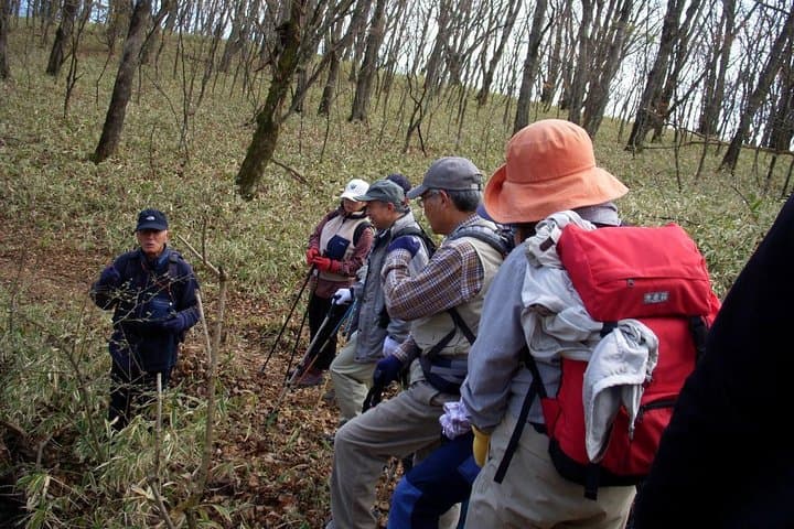 Shinanoji Down-Trekking: Karuizawa Forest Waterfalls & Easy Downhill Hike photo 4