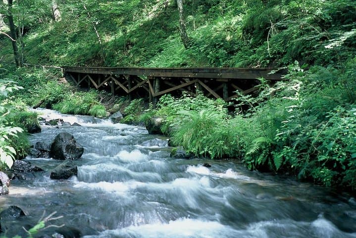 Shinanoji Down-Trekking: Karuizawa Forest Waterfalls & Easy Downhill Hike photo 3