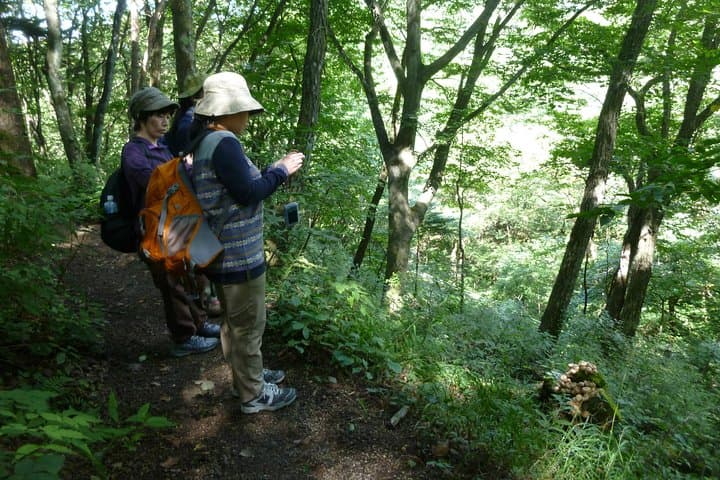Old Nakasendo Trek from Karuizawa: Usui Pass to Sakamoto Hotel with Kotonoyu Onsen photo 2