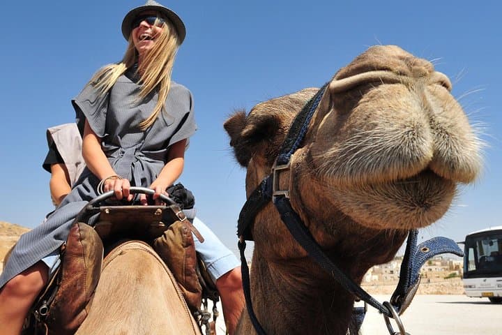 Dubai Morning Red Dunes Safari: Dune Bashing, Camel Ride & Sandboarding photo 5
