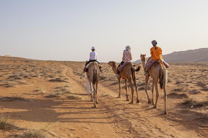 Dubai Sunset Camel Trek: Bedouin Camp, Camel Ride & BBQ Dinner Experience photo 3