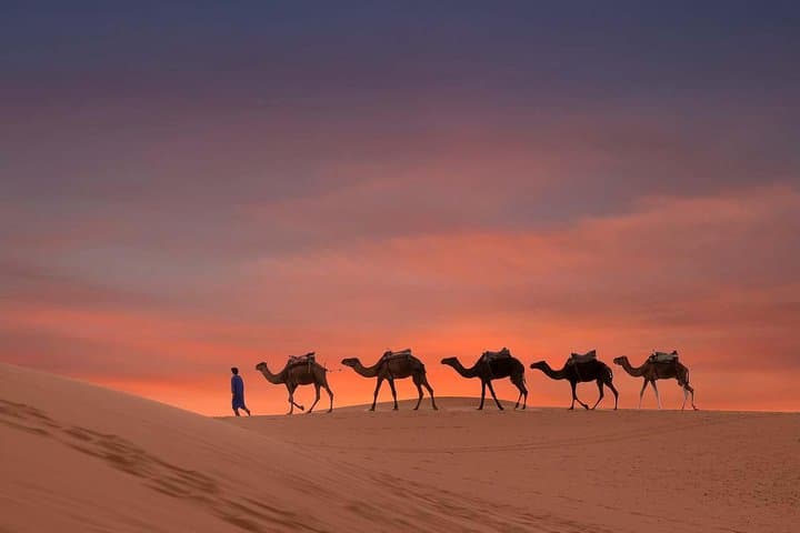 Dubai Sunset Camel Trek: Bedouin Camp, Camel Ride & BBQ Dinner Experience photo 4
