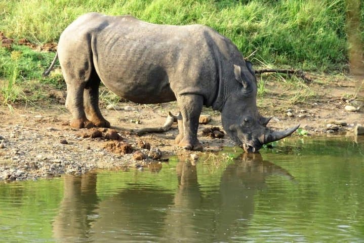 3-Day Kruger Safari at Crocodile River — Sunrise & Sunset Big Five Drives photo 4