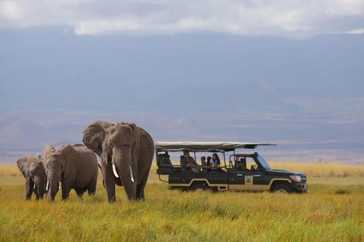 2-Day Diani to Amboseli Flying Safari — Kilimanjaro Views & Amboseli Game Drives photo 1