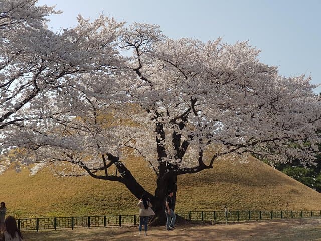 Gyeongju in 48 Hours: Private Two-Day Cultural Tour from Seoul photo 3