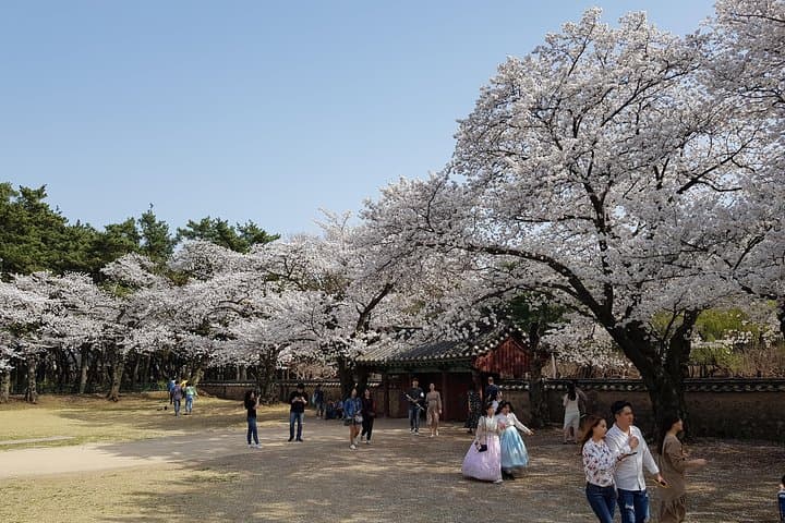 Gyeongju in 48 Hours: Private Two-Day Cultural Tour from Seoul photo 4