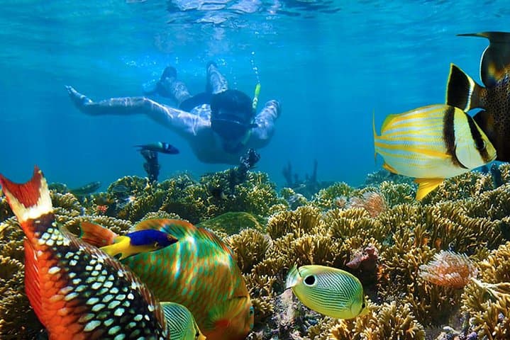 Punta Cana Full-Day Adventure: Buggy 4x4, Macao Beach & Catamaran Snorkel photo 6