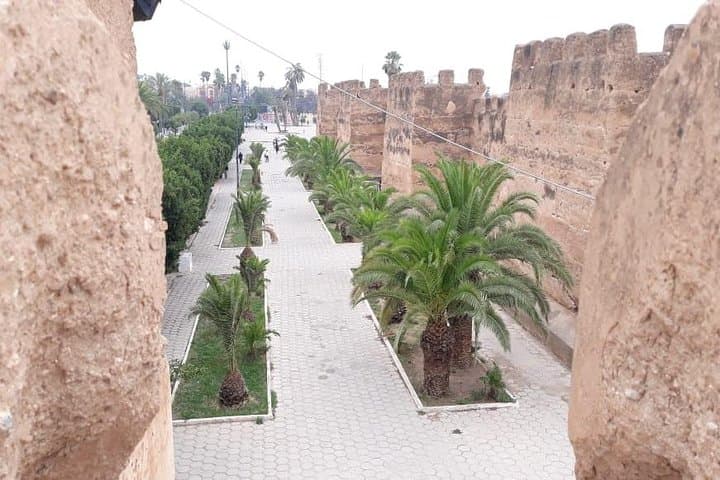 Day Trip from Agadir to Taroudant & Tiout: Oasis, Kasbahs and Palm Groves photo 2