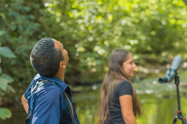 Birdwatching at Mundo Aventura: Arenal's Premier Avian Walk photo 4