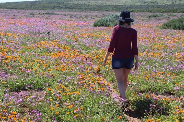 West Coast Wonders: Full-Day West Coast National Park & Blouberg Sundowner photo 3
