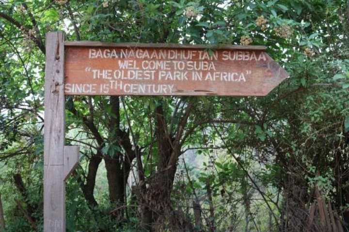 Hike Menagesha Suba Forest: Day Trip from Addis Ababa to Africa’s Oldest Woodland photo 3
