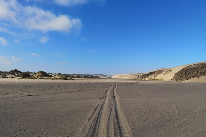 Welwitschia & Moon Landscape Namib Desert Day Tour from Swakopmund photo 5