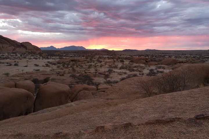 Welwitschia & Moon Landscape Namib Desert Day Tour from Swakopmund photo 6
