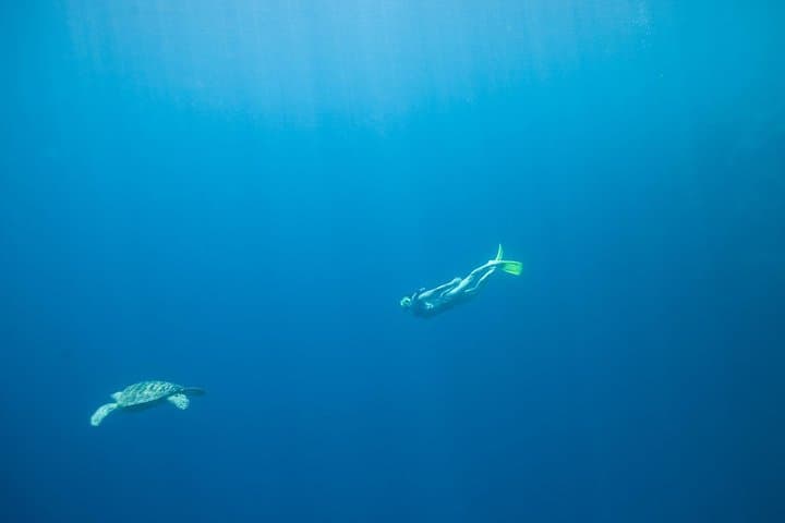 PADI Scuba Diver Course Athens: Boat Dives to Patroklos, Legrena & Arsidas photo 2