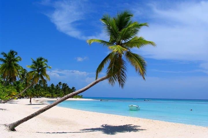 Isla Saona Day Trip from Bayahibe: Natural Pools, White Sand & Catamaran Return