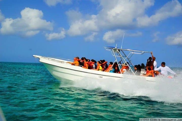 Isla Saona Day Trip from Bayahibe: Natural Pools, White Sand & Catamaran Return photo 5