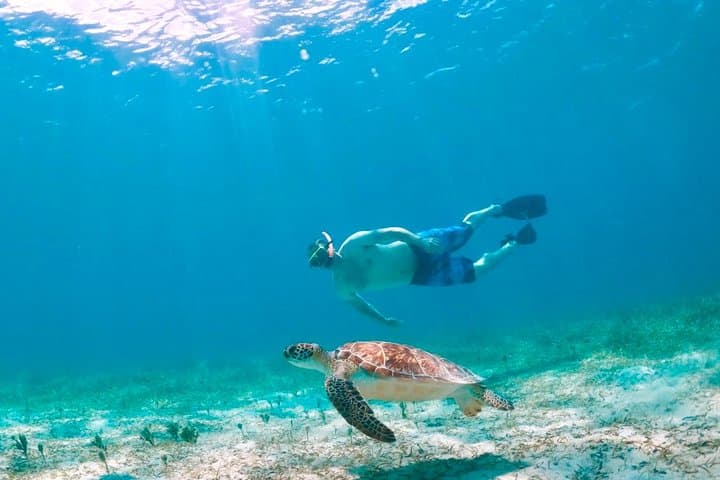 Culebra Snorkel and Turtle Adventure — Flamenco Beach & Luis Peña Marine Reserve photo 2