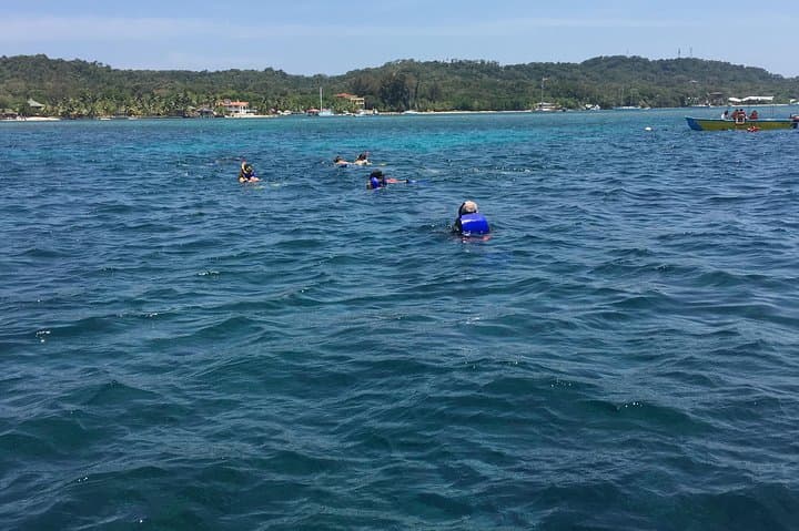 Roatan Eco-Park and Two-Reef Snorkel: Speedboat Reef Adventure from the Cruise Port photo 4