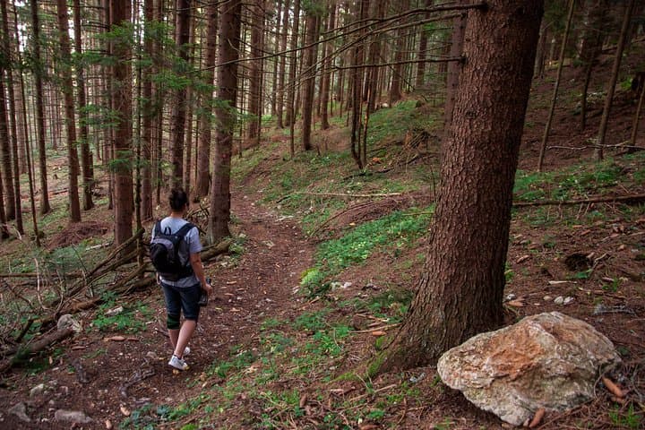 Trebevic Day Hike from Sarajevo: Summit Views, Abandoned Olympic Track & Forest Descent photo 5