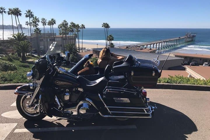 Cruise La Jolla by Sidecar: Private Coastal Tour of Torrey Pines, Cove & Mt. Soledad photo 6