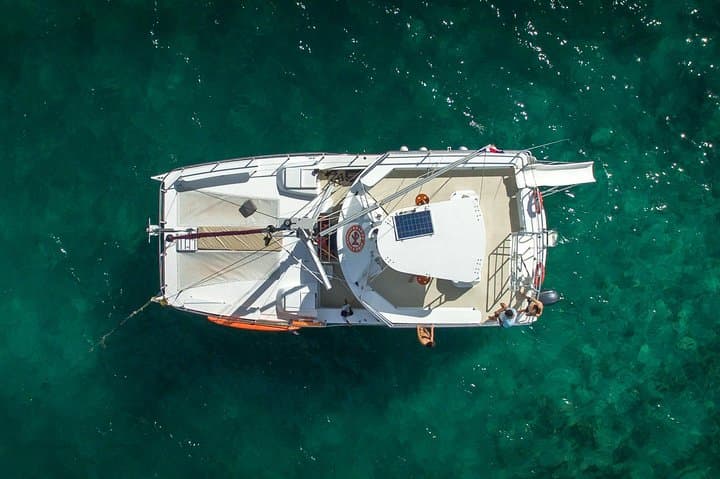 Discover Caribbean Bliss: Snorkeling Adventures in Punta Cana photo 6