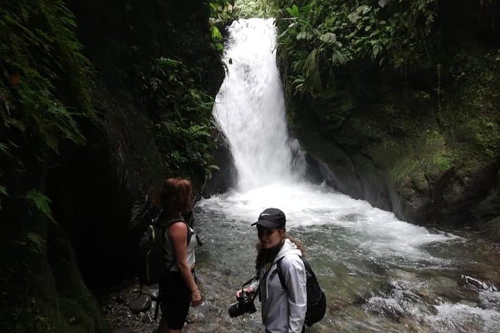 Mindo Cloud Forest Private Day Tour from Quito – Waterfalls, Hummingbirds & Chocolate photo 6